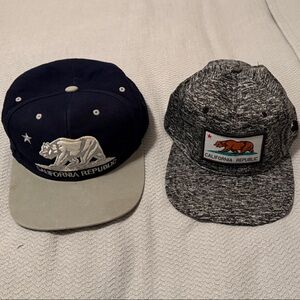 Men's Caps - Navy and Gray
